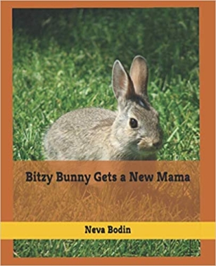 Bitzy Bunny Gets a New Mama